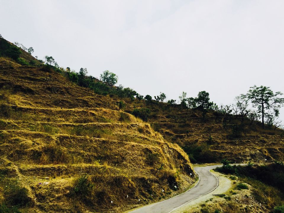 Photo of Ramnagar:Summer Paradise 5/28 by Marigold Odyssey