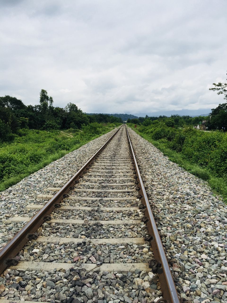 Photo of Ramnagar:Summer Paradise 9/28 by Marigold Odyssey
