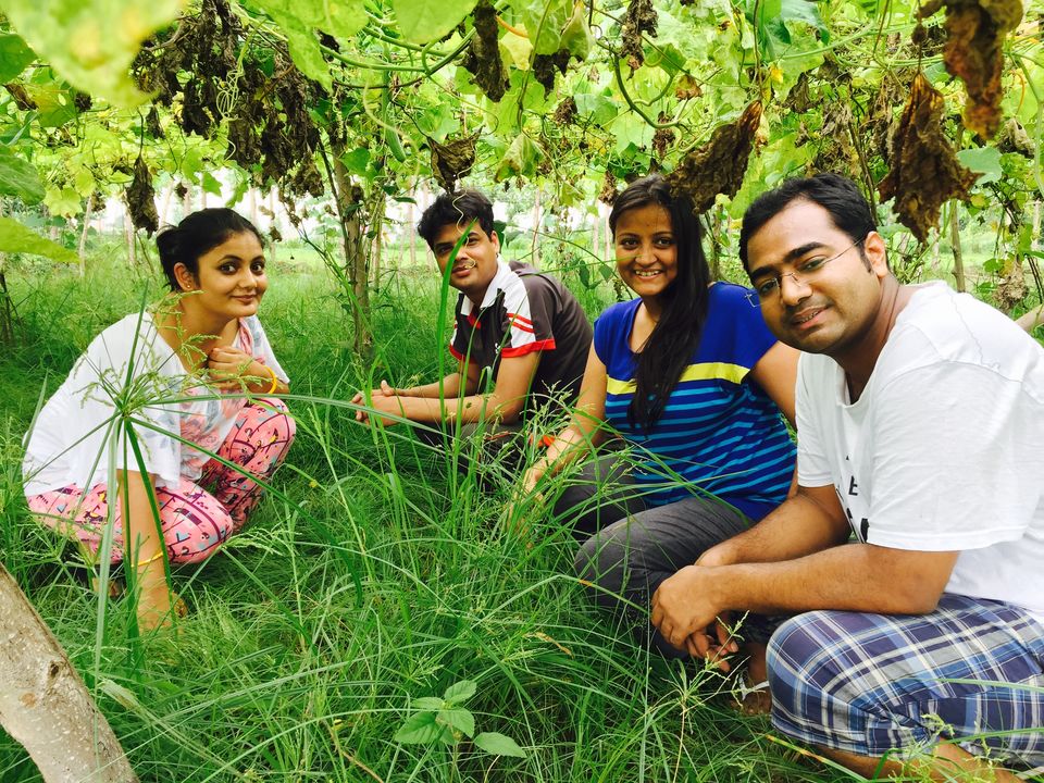 Photo of Ramnagar:Summer Paradise 10/28 by Marigold Odyssey