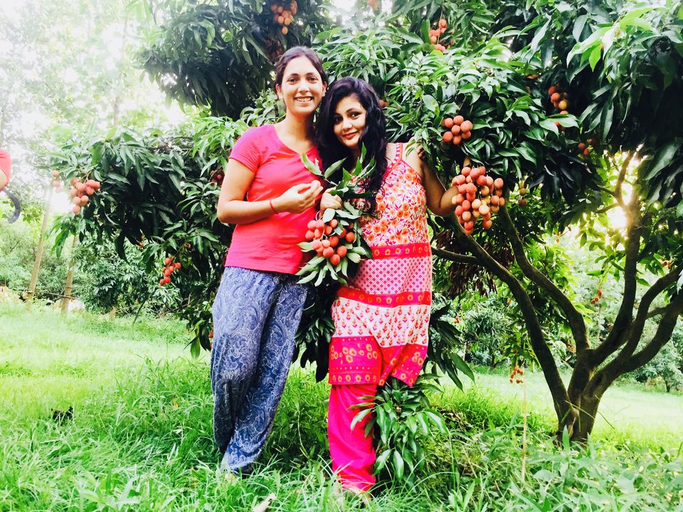 Photo of Ramnagar:Summer Paradise 17/28 by Marigold Odyssey