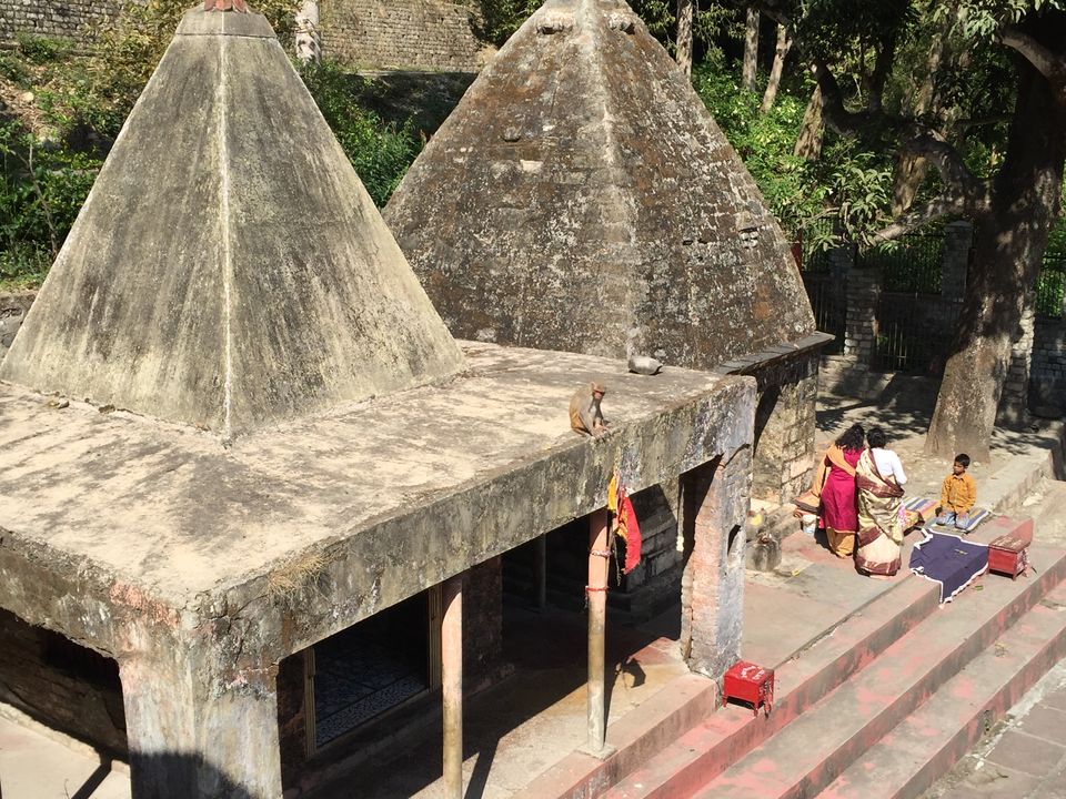 Photo of Ramnagar:Summer Paradise 23/28 by Marigold Odyssey