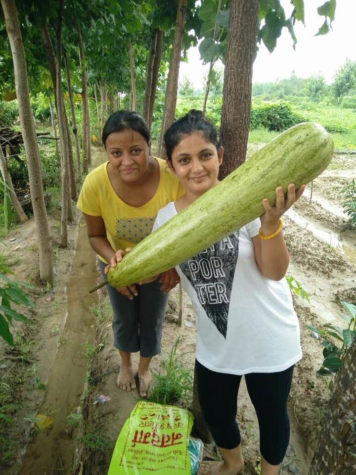 Photo of Ramnagar:Summer Paradise 24/28 by Marigold Odyssey