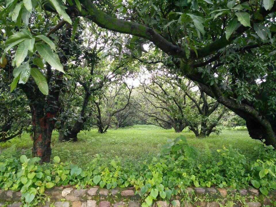 Photo of Ramnagar:Summer Paradise 25/28 by Marigold Odyssey