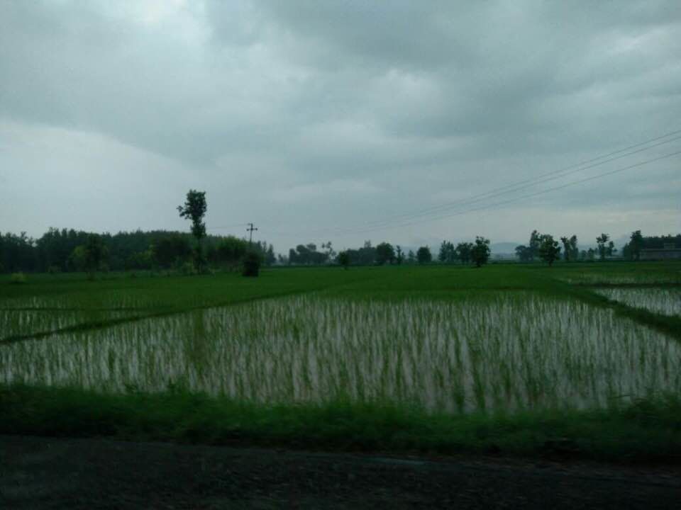 Photo of Ramnagar:Summer Paradise 26/28 by Marigold Odyssey