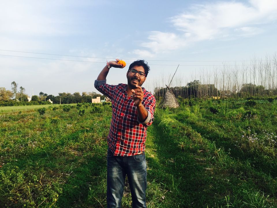 Photo of Ramnagar:Summer Paradise 27/28 by Marigold Odyssey