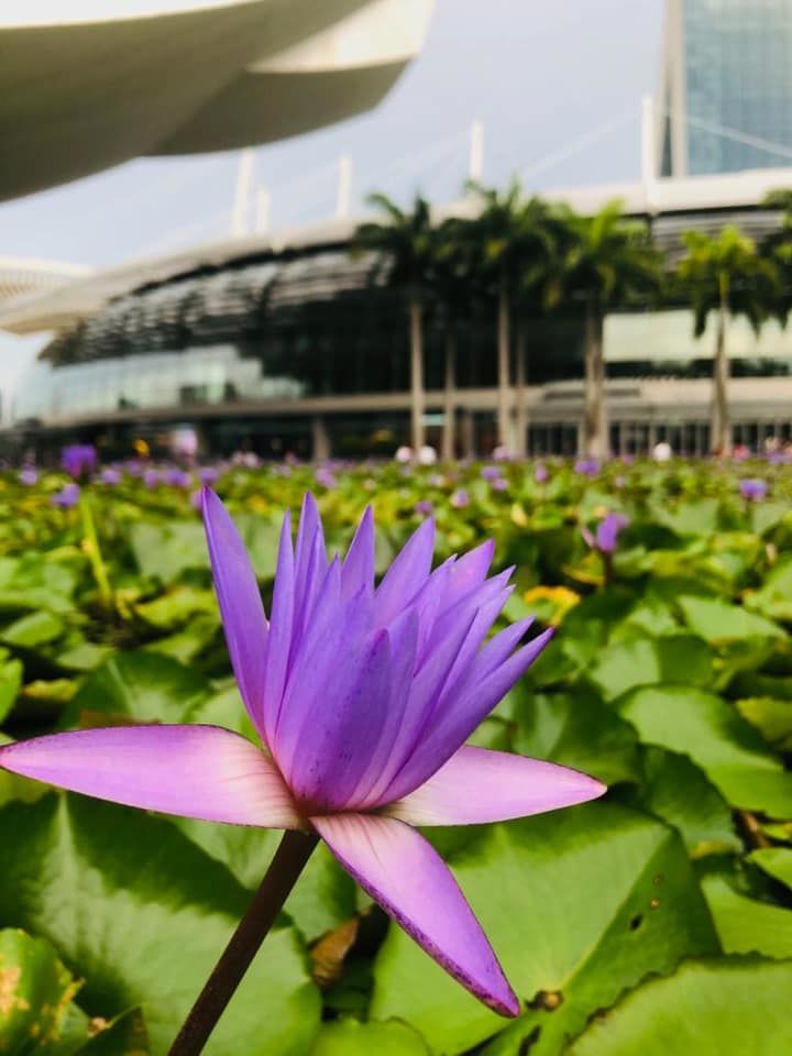 Photo of A local's guide to Singapore 12/12 by Marigold Odyssey