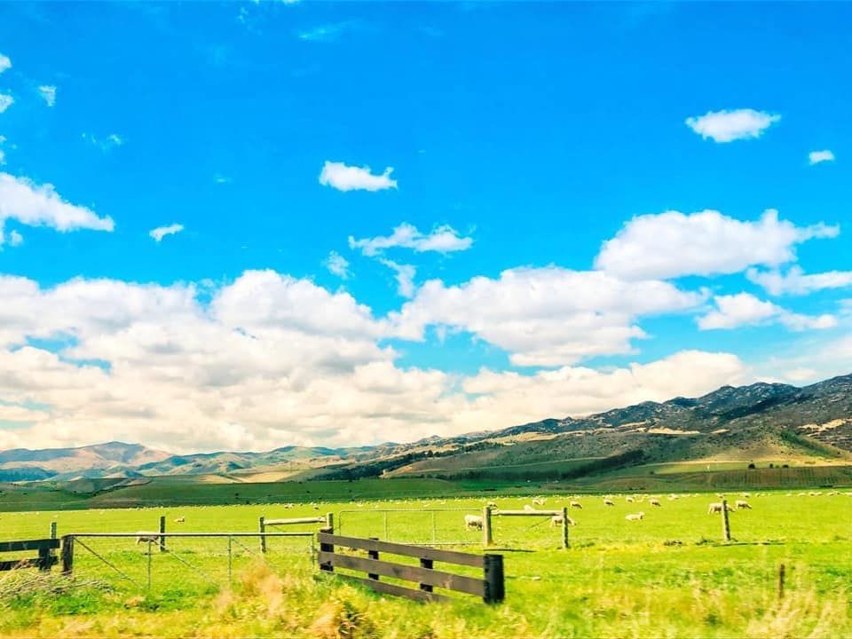 Photo of Twizel, New Zealand by Marigold Odyssey