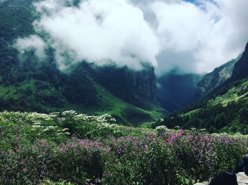 Photo of Valley of Flowers:87.5 Km2 of Flowers,Highest Gurudwara In The World And The Last Village Of india! by Medha Kapoor