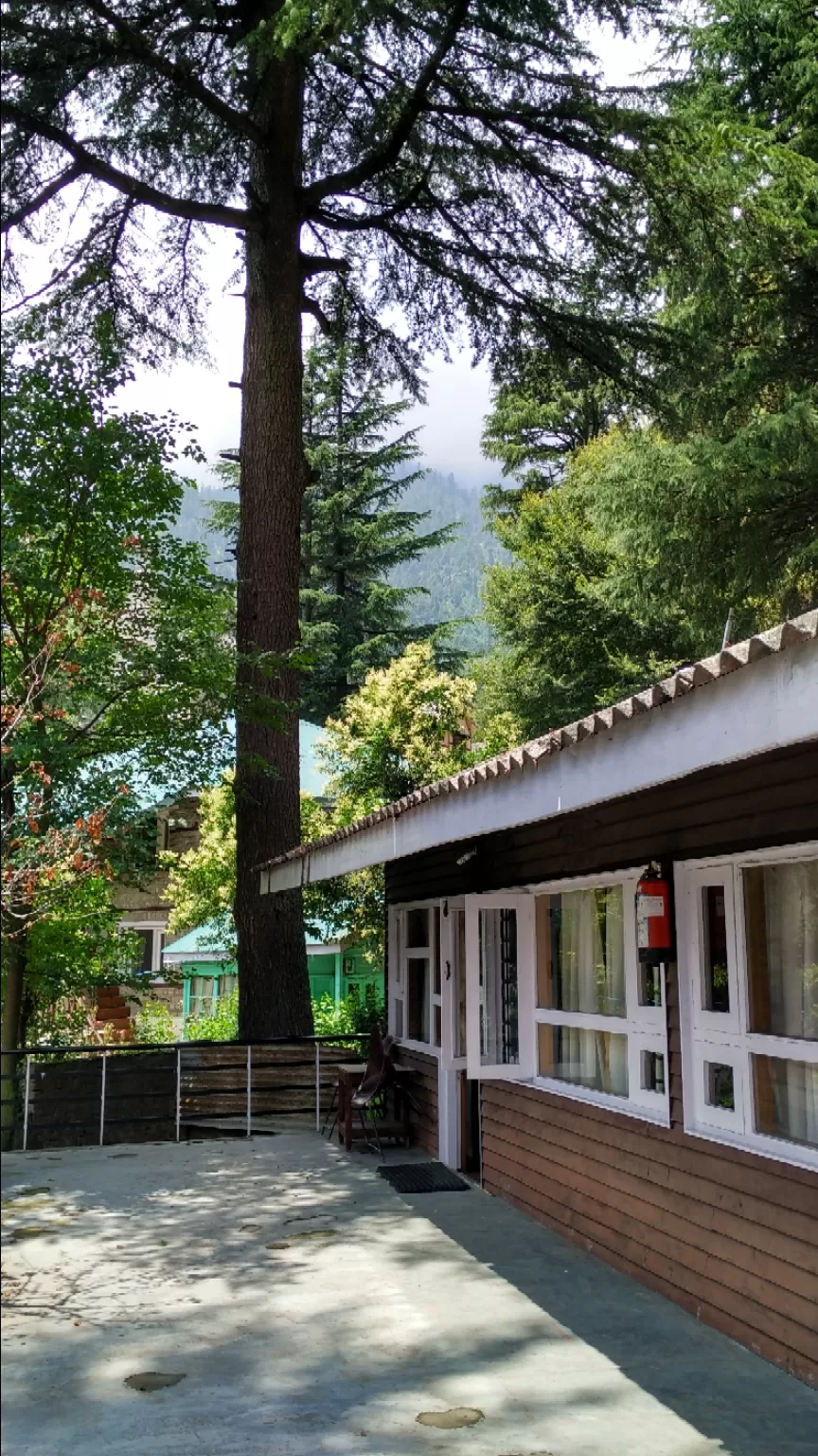 Photo of Best Place To Stay In Manali by Tomas Borgohain