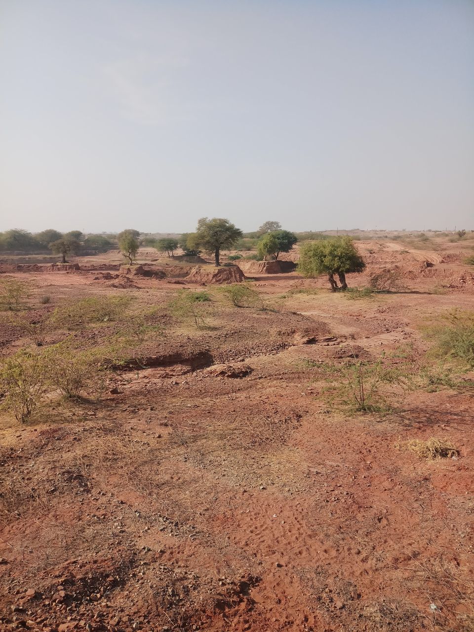 Photo of JAISALMER - A haven in desert 2/8 by Vaidika Saxena