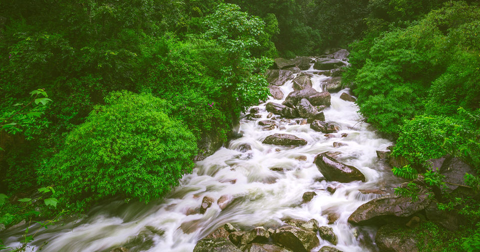 Photo of A Adventure Vacation - Munnar, Kerala by A Mad Traveller.