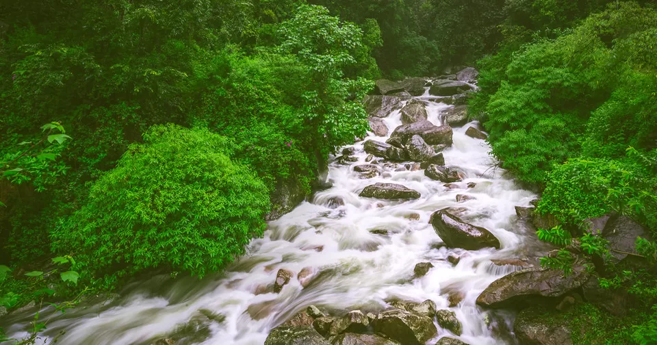 Photo of A Adventure Vacation - Munnar, Kerala by A Mad Traveller.