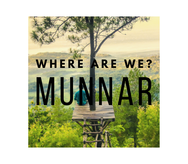 Photo of A Adventure Vacation - Munnar, Kerala by A Mad Traveller.