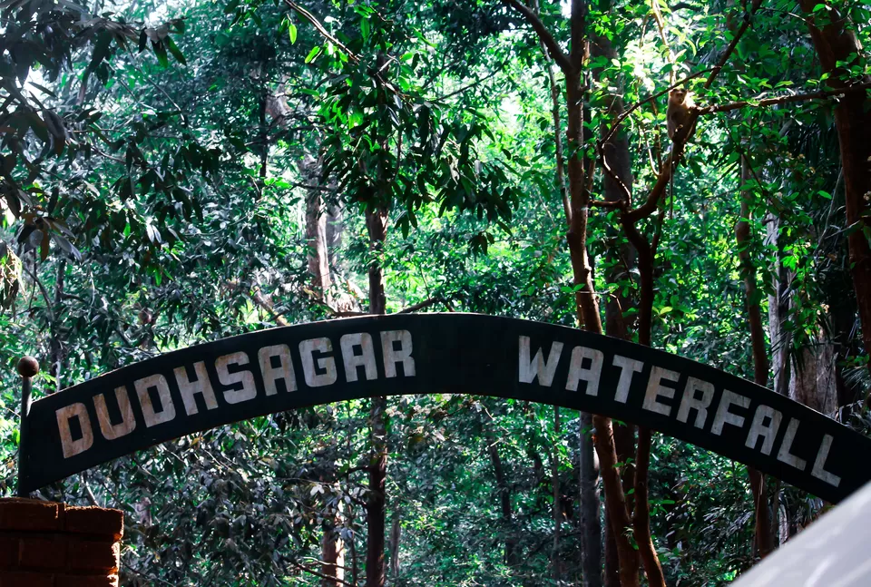 Photo of Dudhsagar Falls, Sonaulim, Goa, India by Tasneem Bharmal