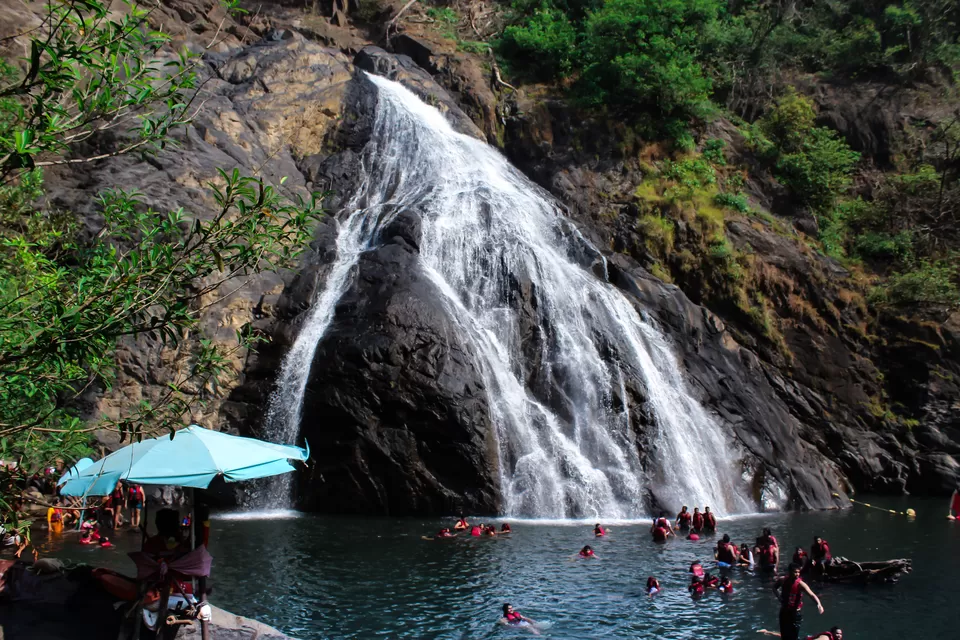 Photo of Dudhsagar Falls, Sonaulim, Goa, India by Tasneem Bharmal