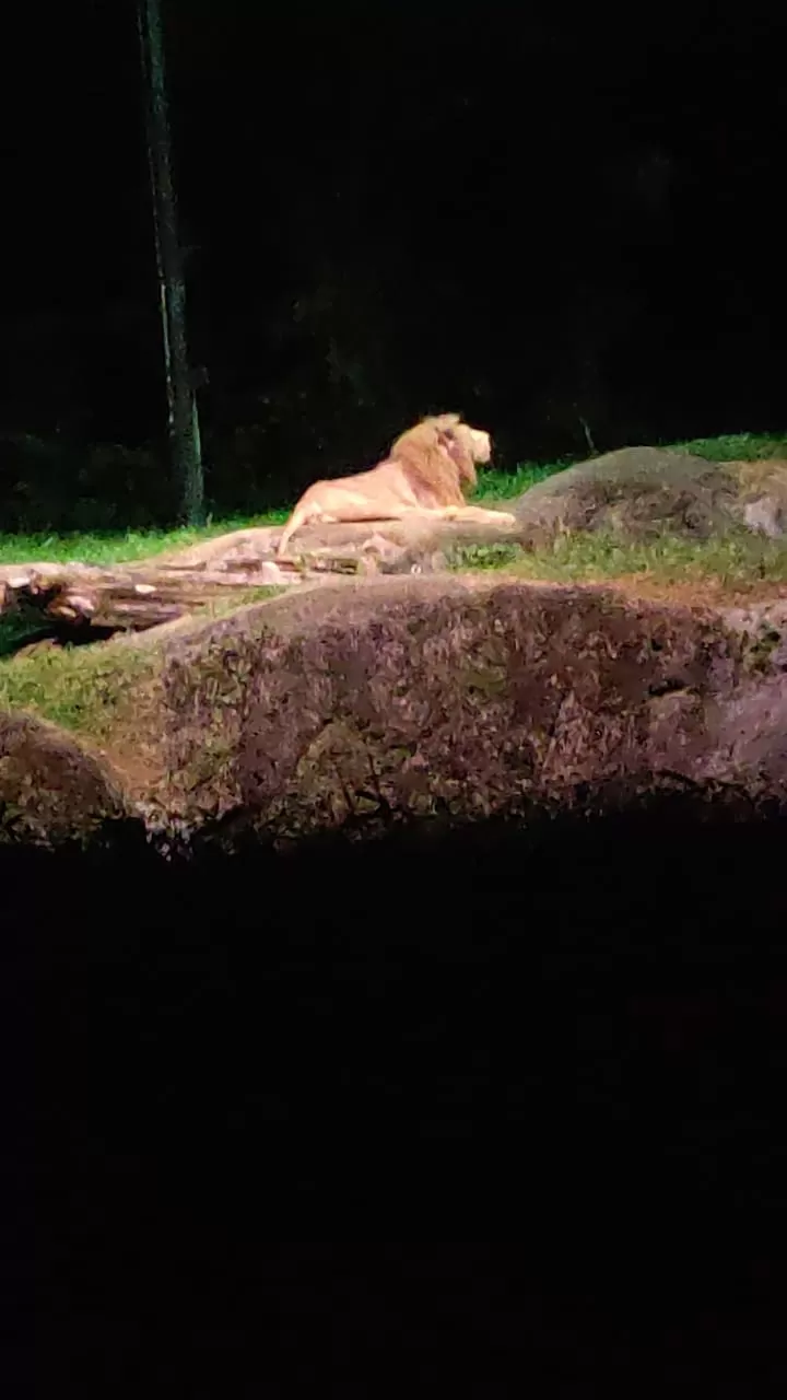 Photo of Singapore by Pooja Singh