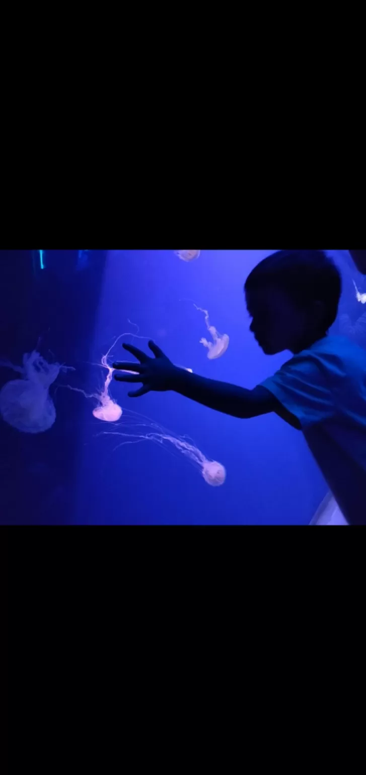 Photo of Two tiny Islands - Singapore Malaysia by Pooja Singh