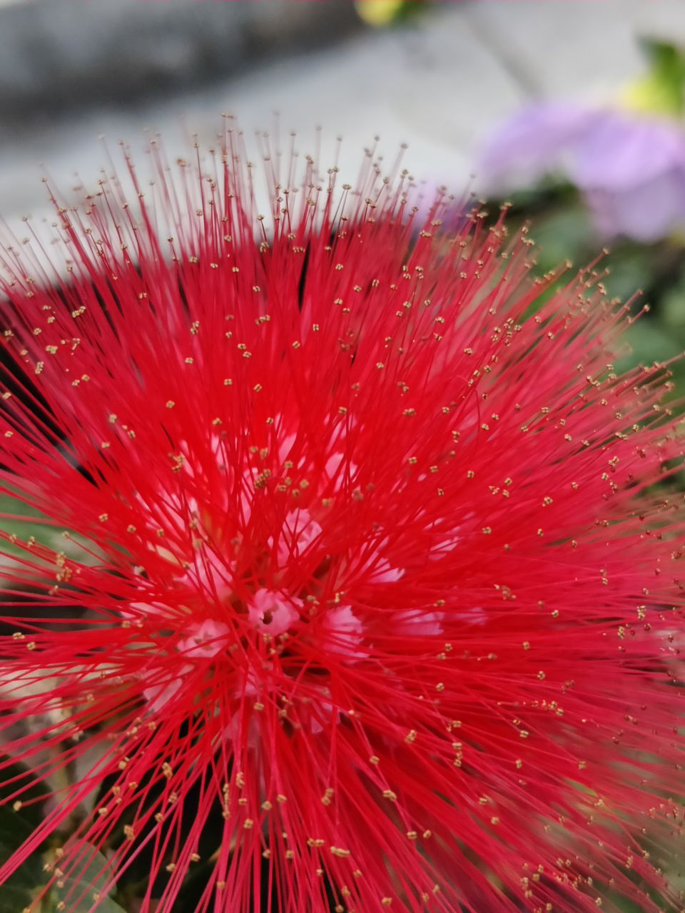 Photo of New Year, New Beginnings, New Learnings 2/3 by Sushmitha Kuchana