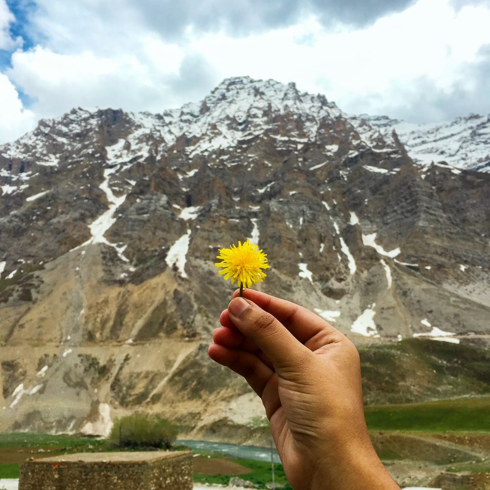 Photo of Himachal Pradesh, India by Sharvari Somavanshi