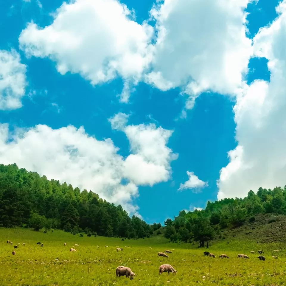 Photo of Himachal Pradesh, India by Sharvari Somavanshi