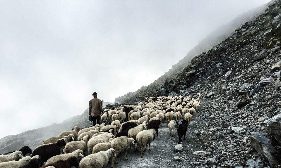 Photo of A Road Trip to Sach Pass at 14,500 ft - World's Most Dangerous Road 1/1 by Manish Goel