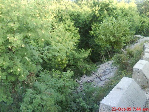 Photo of Shri Mata Vaishno Devi Katra Railway Station, Katra Station Road, Katra by Akshay Bharti