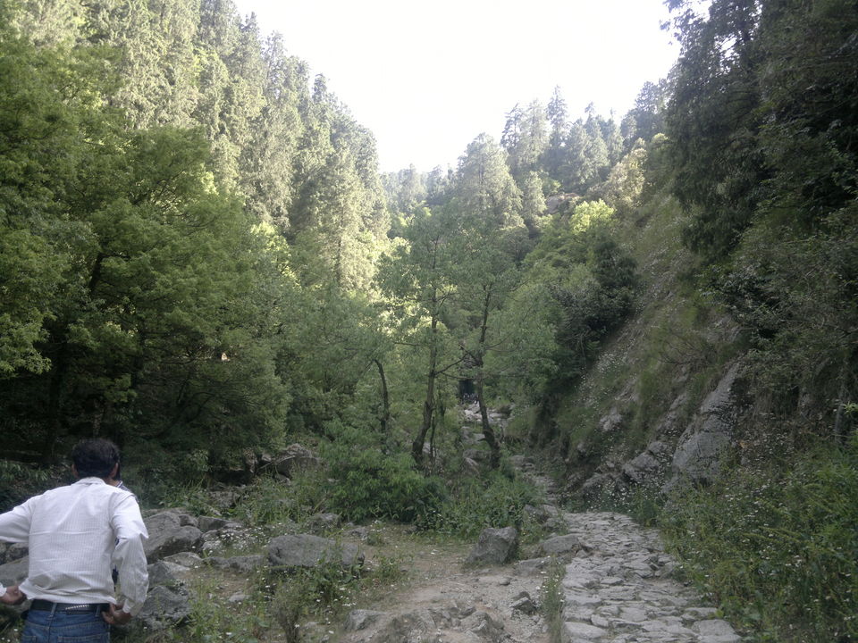 Photo of The Perfect Combo : Holy Vaishno Devi, Peaceful Dalhousie and Beautiful Chandigarh 2/12 by Akshay Bharti