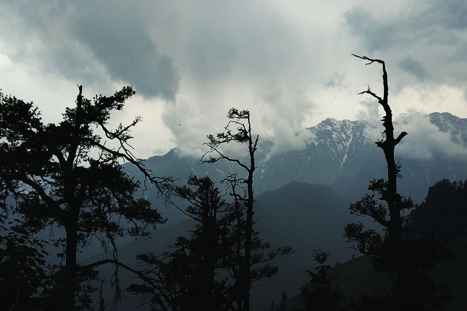 Photo of Gulaba Viewpoint, Kothi, Himachal Pradesh, India by Neeti Desai