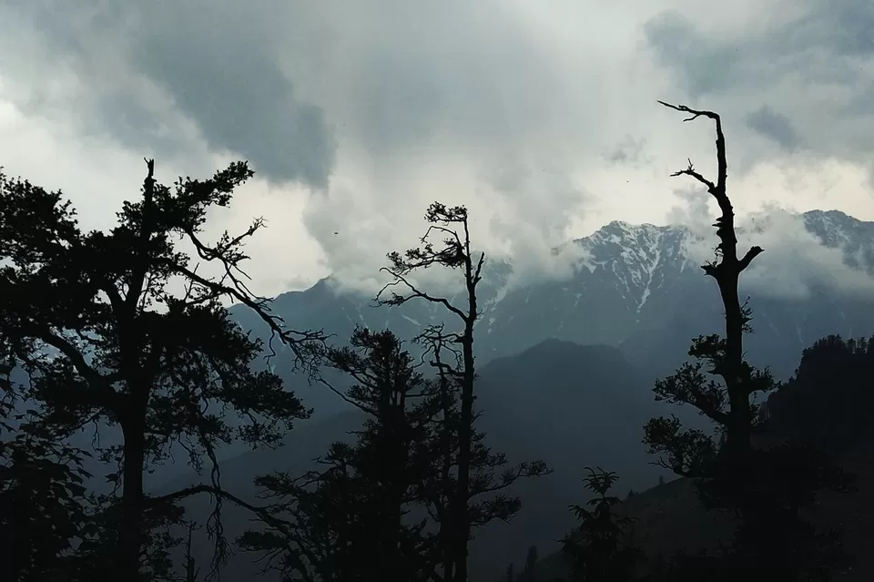 Photo of Gulaba Viewpoint, Kothi, Himachal Pradesh, India by Neeti Desai