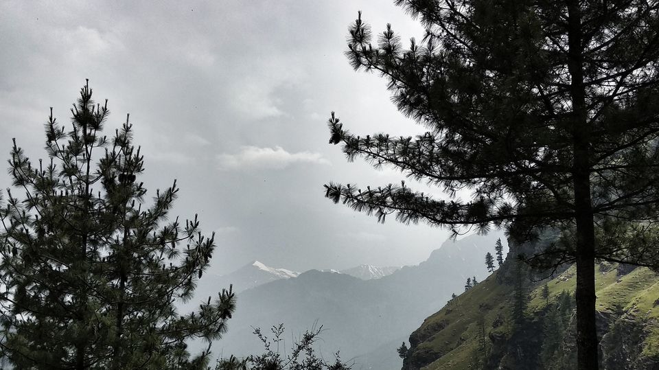 Photo of Gulaba Viewpoint, Kothi, Himachal Pradesh, India by Neeti Desai