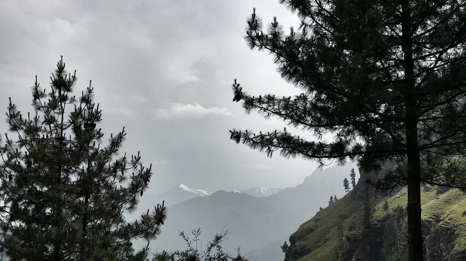 Photo of Gulaba Viewpoint, Kothi, Himachal Pradesh, India by Neeti Desai