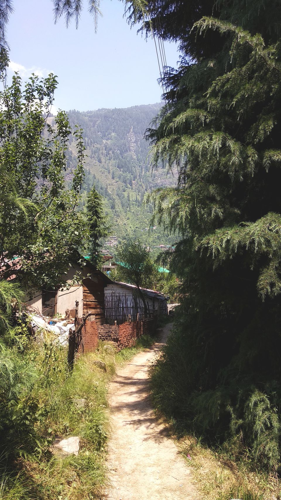 Photo of Manali, Himachal Pradesh, India by Neeti Desai