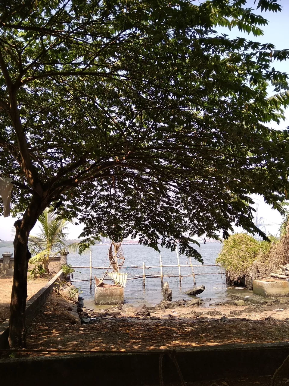Photo of A day trip from Trivandrum to Kochi on a shoe string budget! by Disha Dinesh Majithia