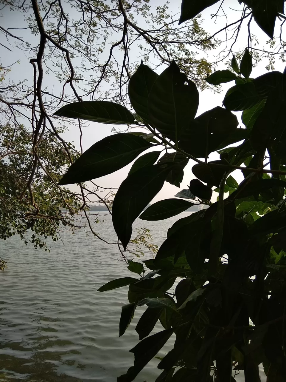 Photo of A day trip from Trivandrum to Kochi on a shoe string budget! by Disha Dinesh Majithia