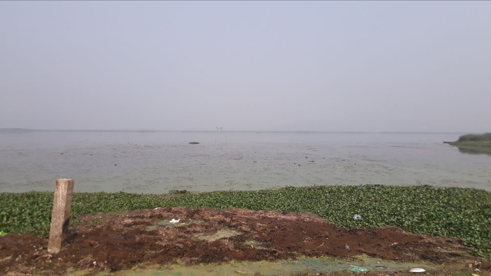 Photo of Deepor Beel Birds Sanctuary, Guwahati, Assam by Aditi