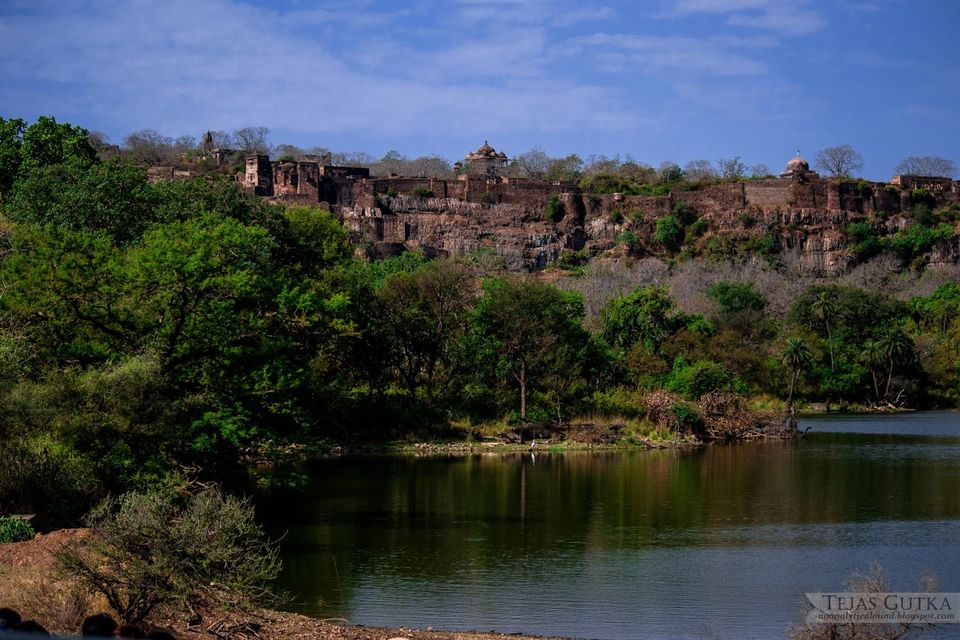 Photo of Trip to the Tiger abode: Ranthambore National Park 10/10 by Tejas Gutka