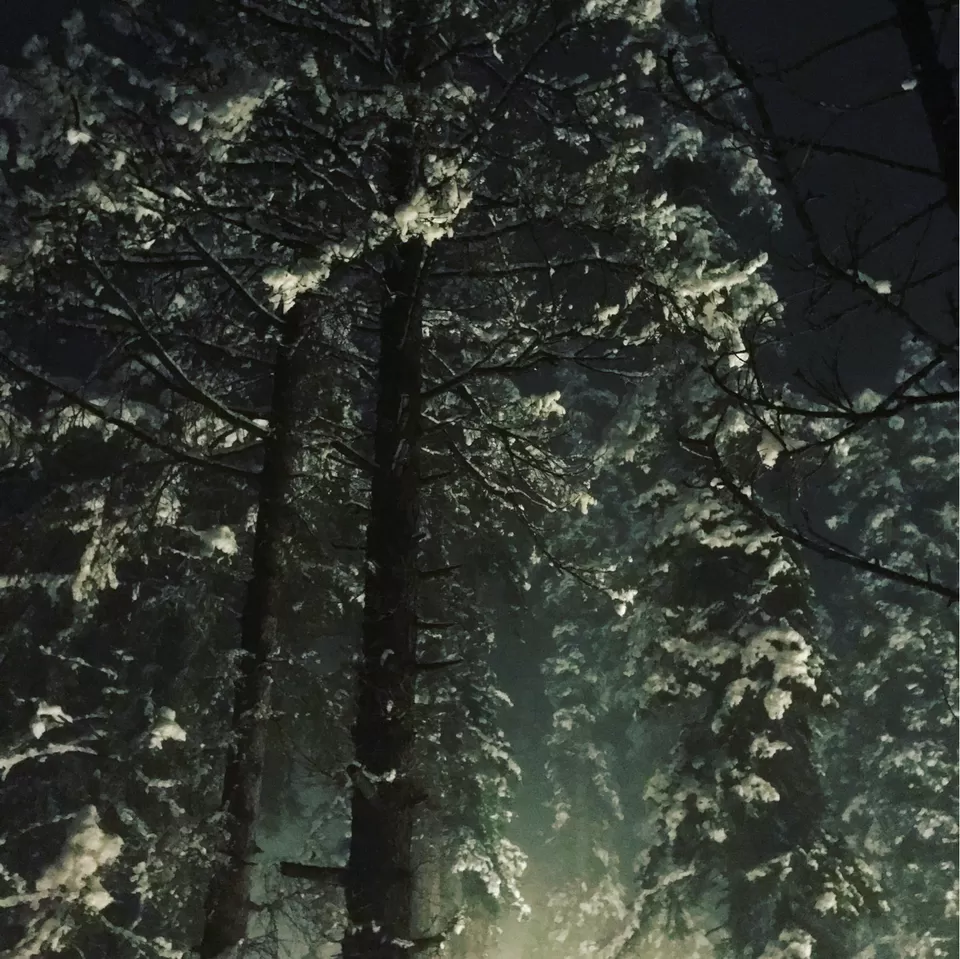 Photo of A 4 Day trip to heaven by Globetrottinghobbyist