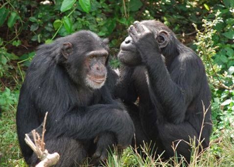 Photo of Kenya Best Adventure Safaris by Abednegoh Kasuki
