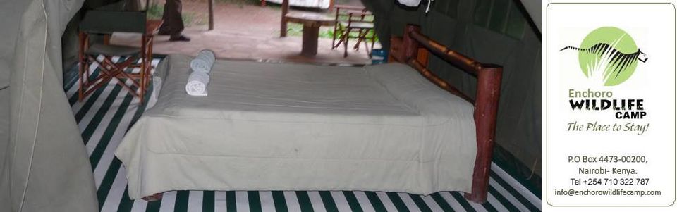 Photo of Ever wanted to enjoy a kenya adventure tours of a life time experience? stay in a safari tented camp 2/3 by Abednegoh Kasuki