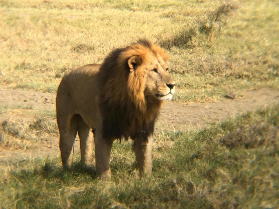 Photo of Ever wanted to enjoy a kenya adventure tours of a life time experience? stay in a safari tented camp by Abednegoh Kasuki