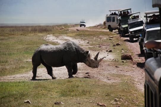 Photo of Kenya Best Adventure Safaris by Abednegoh Kasuki