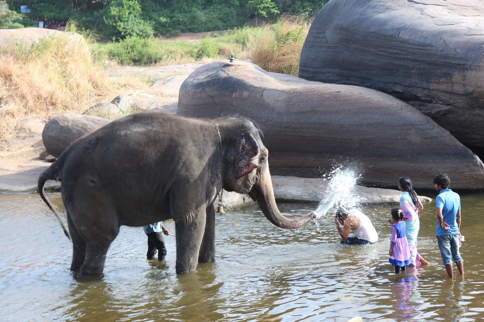 Photo of The Hymns of Hampi by Anusree Koottungal