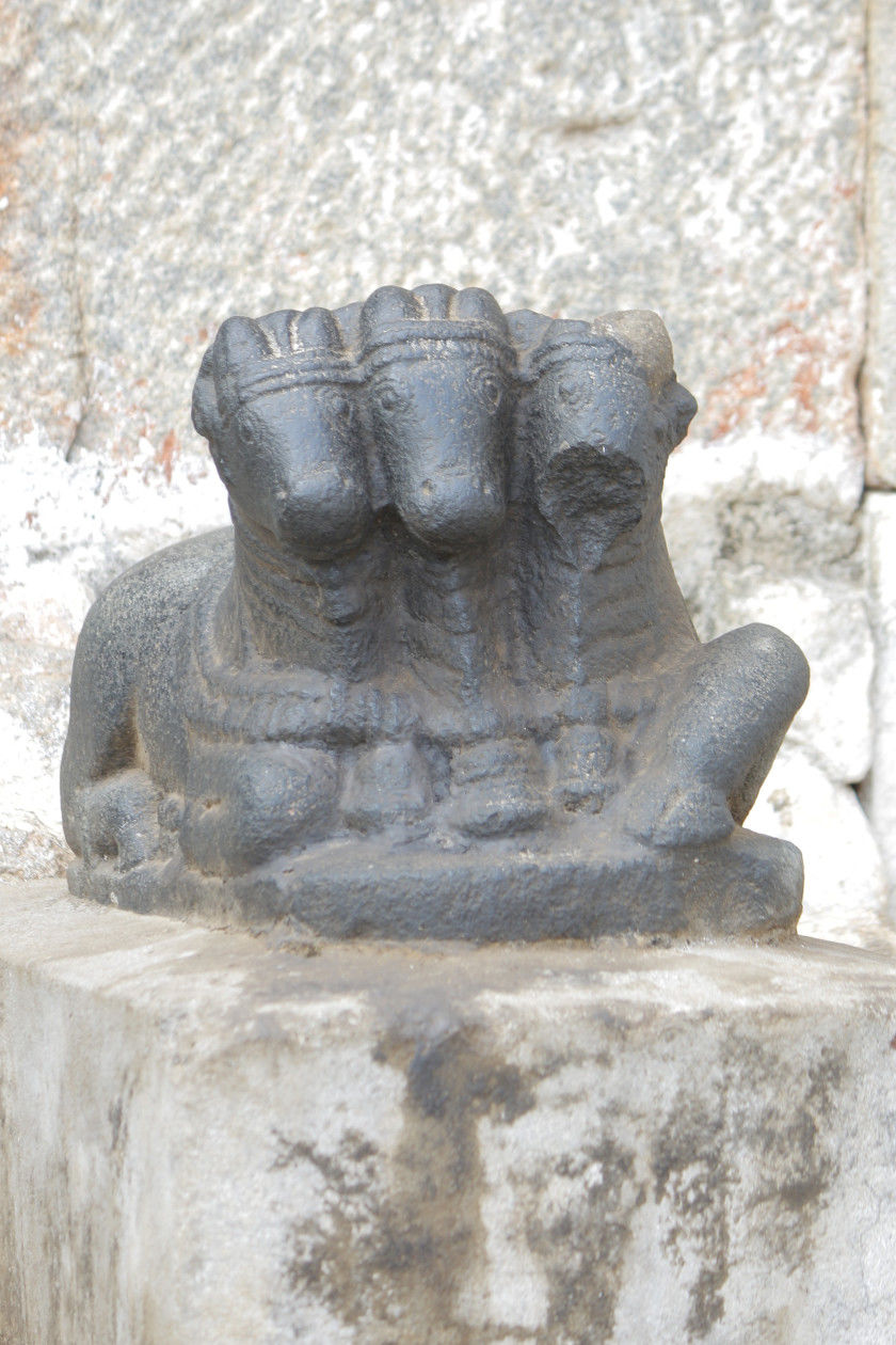 Photo of The Hymns of Hampi by Anusree Koottungal