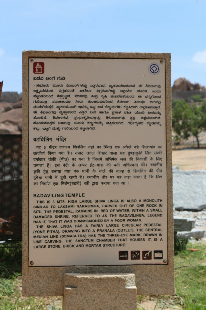 Photo of The Hymns of Hampi by Anusree Koottungal