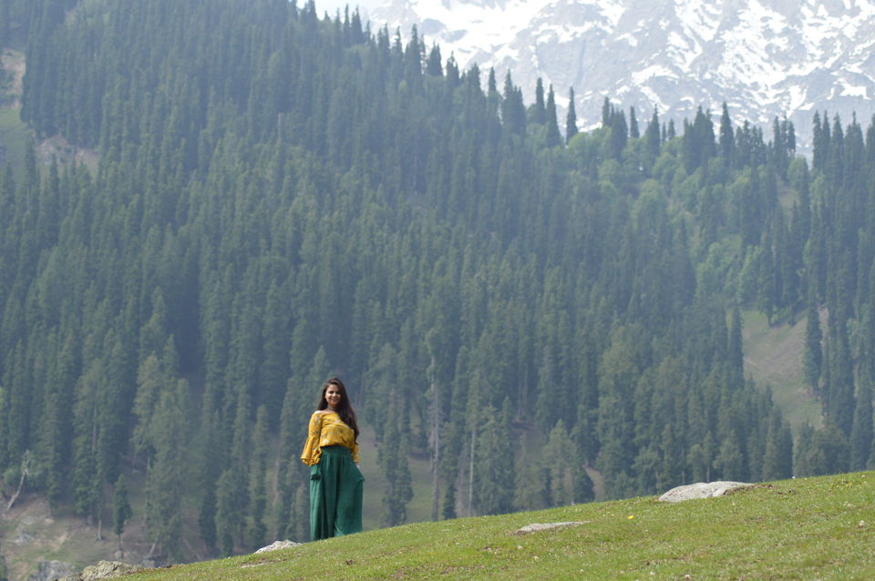 Photo of Majestic Kashmir Valley by Arpit Dugar