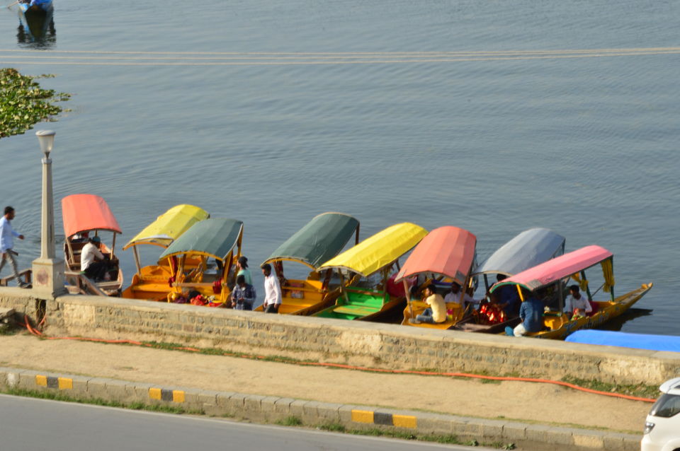 Photo of Majestic Kashmir Valley by Arpit Dugar