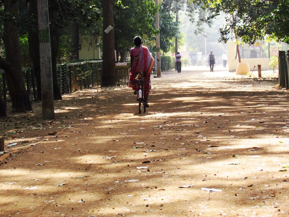Photo of A visit to a Saturday market in Sonajhuri, Shantiniketan 4/19 by Sudip Majumder