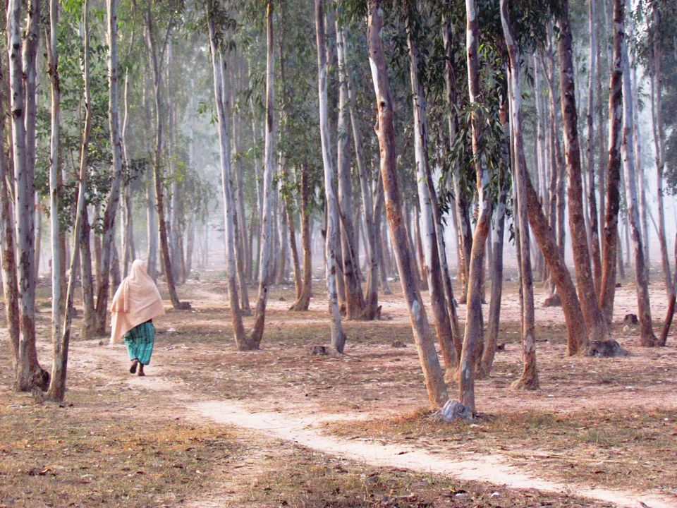 Photo of A visit to a Saturday market in Sonajhuri, Shantiniketan 17/19 by Sudip Majumder
