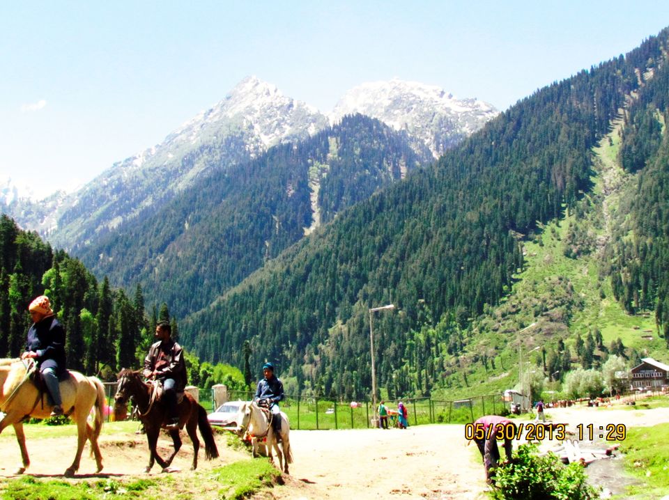 Photo of When I Visited Heaven on Earth, Kashmir 12/36 by Sudip Majumder