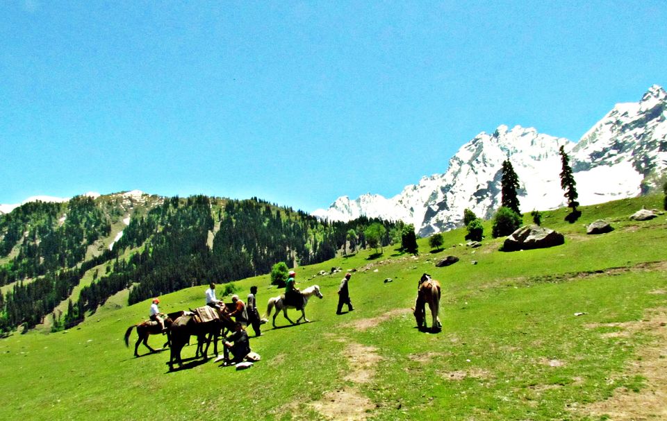 Photo of When I Visited Heaven on Earth, Kashmir 20/36 by Sudip Majumder